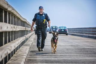 Officer Hall and K9 Sirk