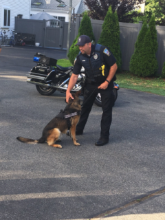 K9 Sirk and Ofc Steve Hall