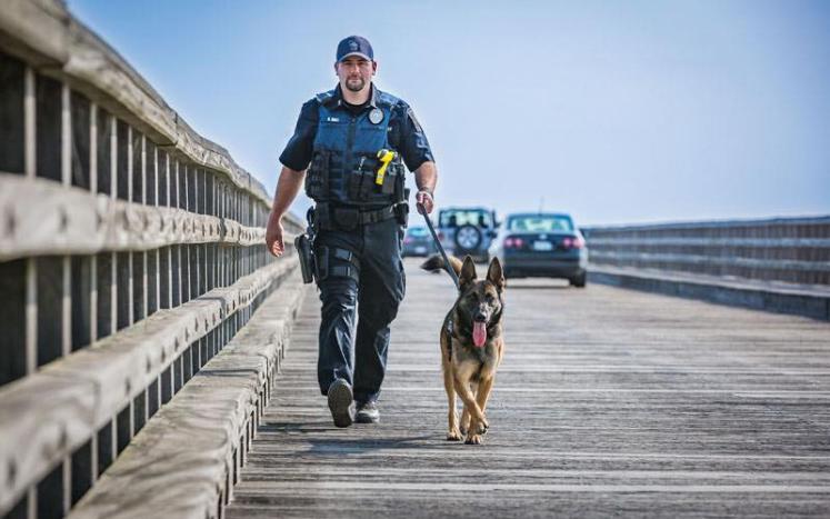PC: Massachusetts Vest-A-Dog